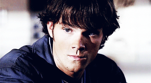 tumblr_n5hb9uF8UO1qlu8two1_500.gif